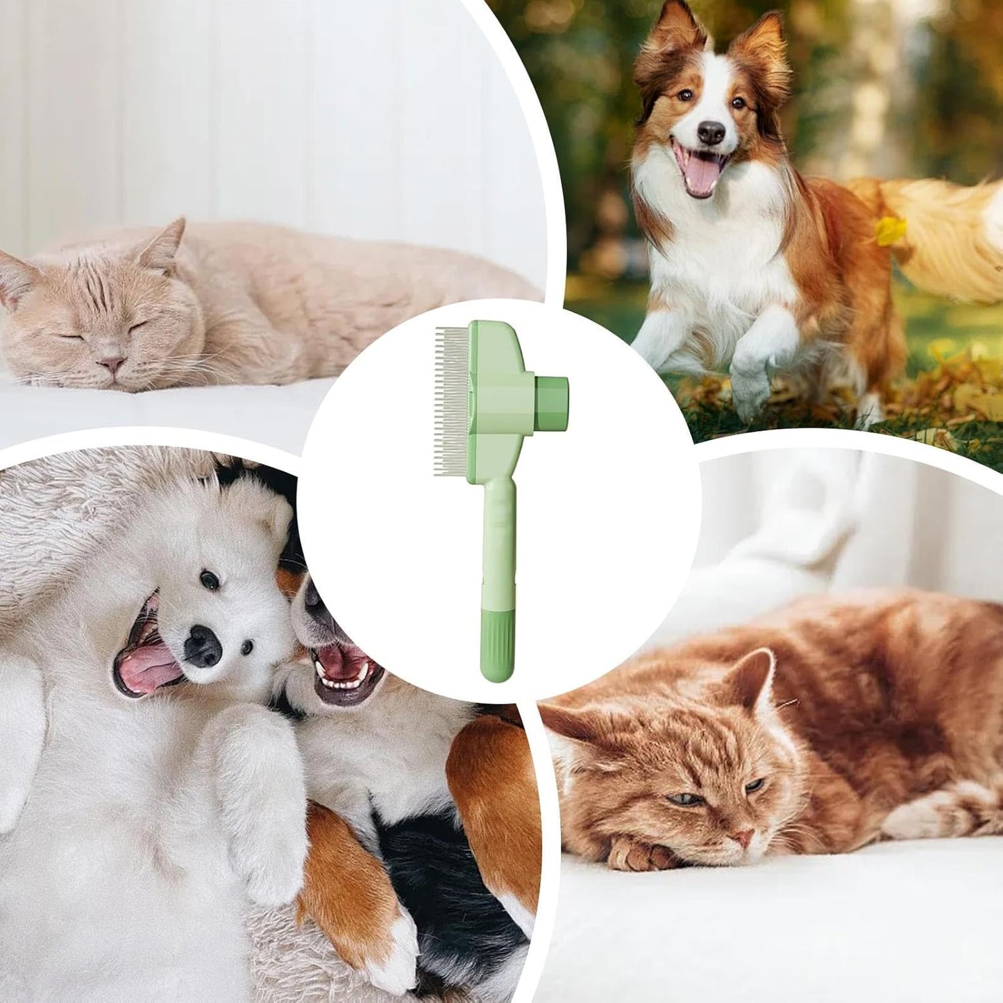 Pet Comb Grooming Brush✨
